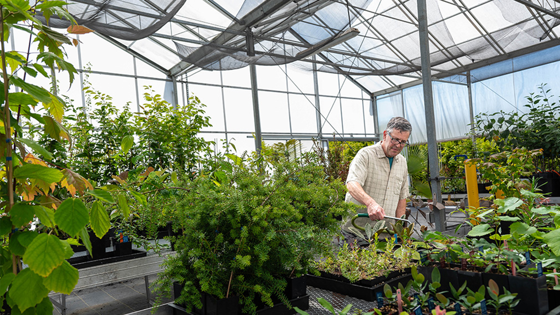 Kevin Kubeck watering plants in the UBC Botanical Garden Nursery