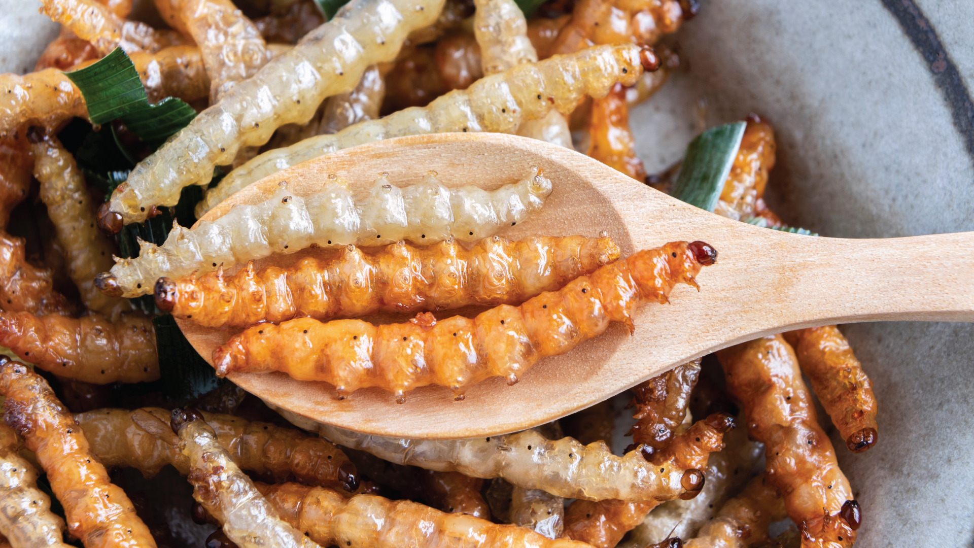 Larvae on a wooden spoon