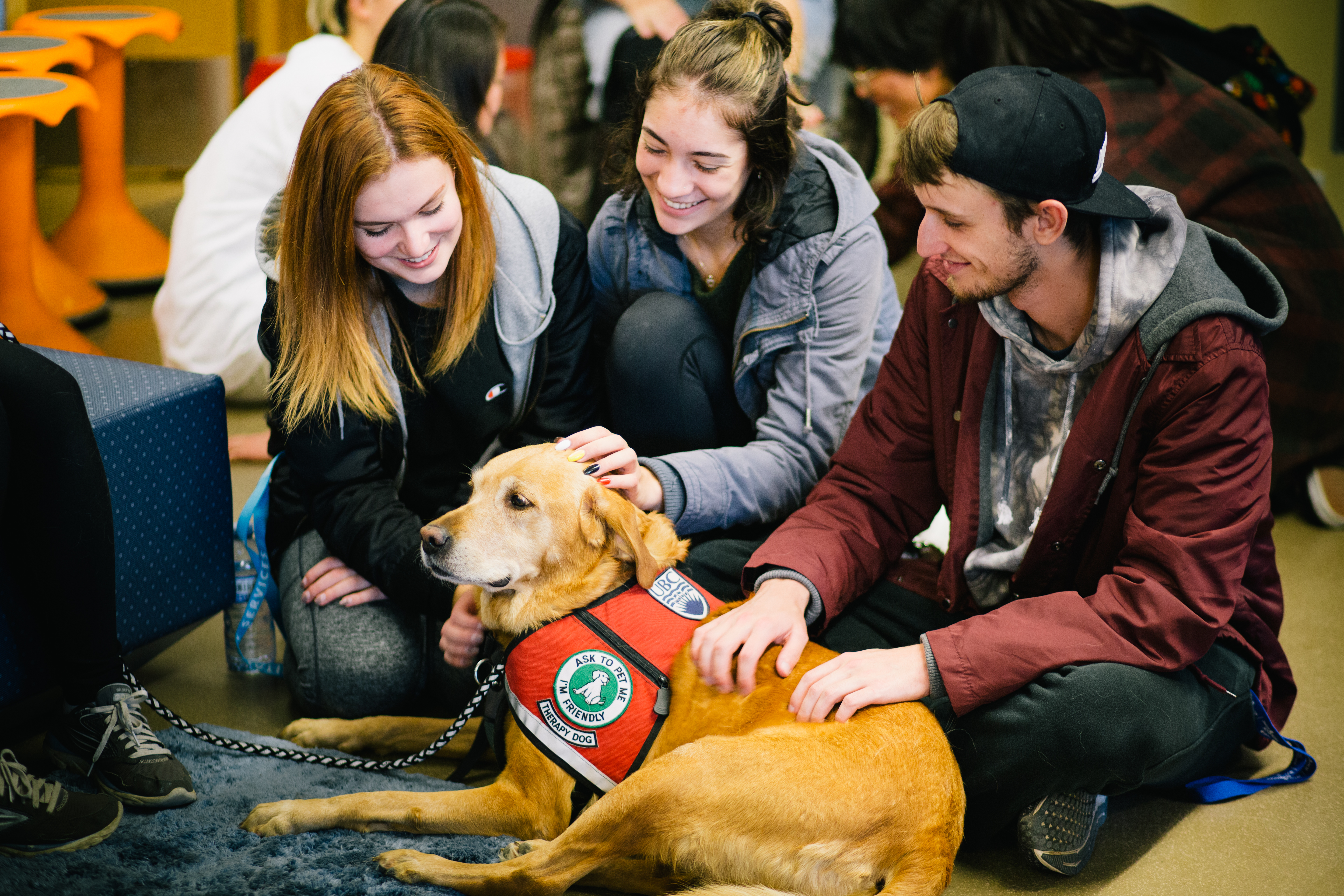  Students sit with a trained therapy dog.