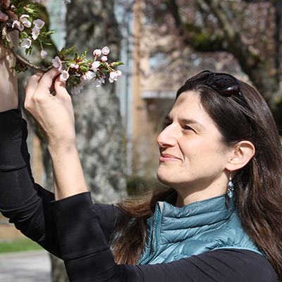 Dr. Elizabeth Wolkvich touch a branch with cherry blossoms