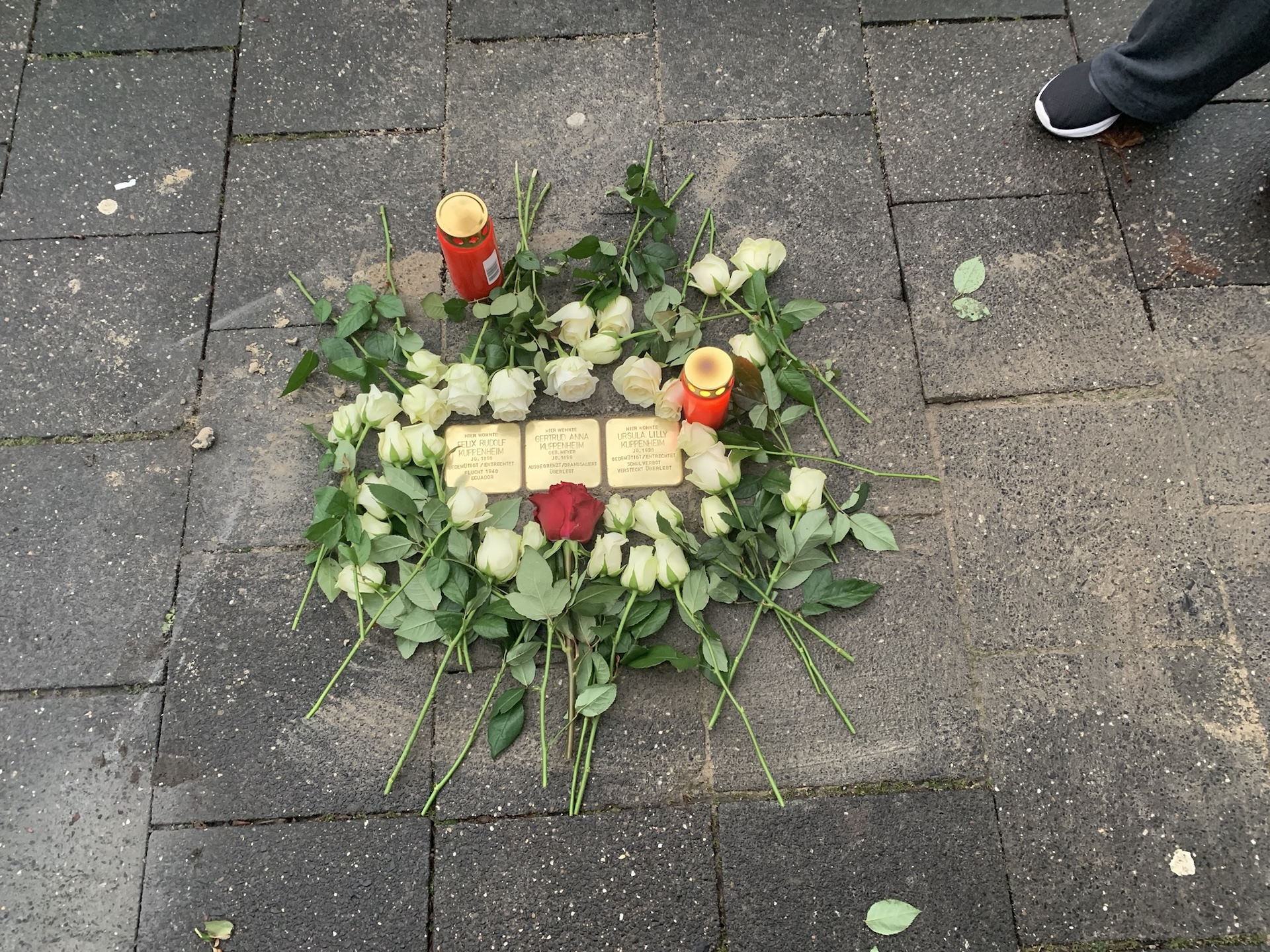 Flowers laid around commemorative brass plates on a sidewalk