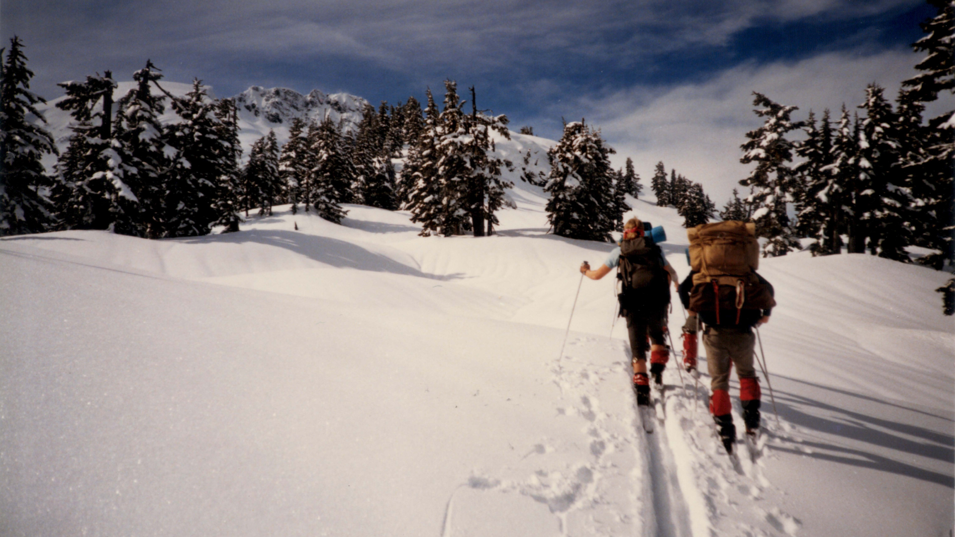 Two backpackers walk away from the camera through the snow on a plateau with sparse evergreens