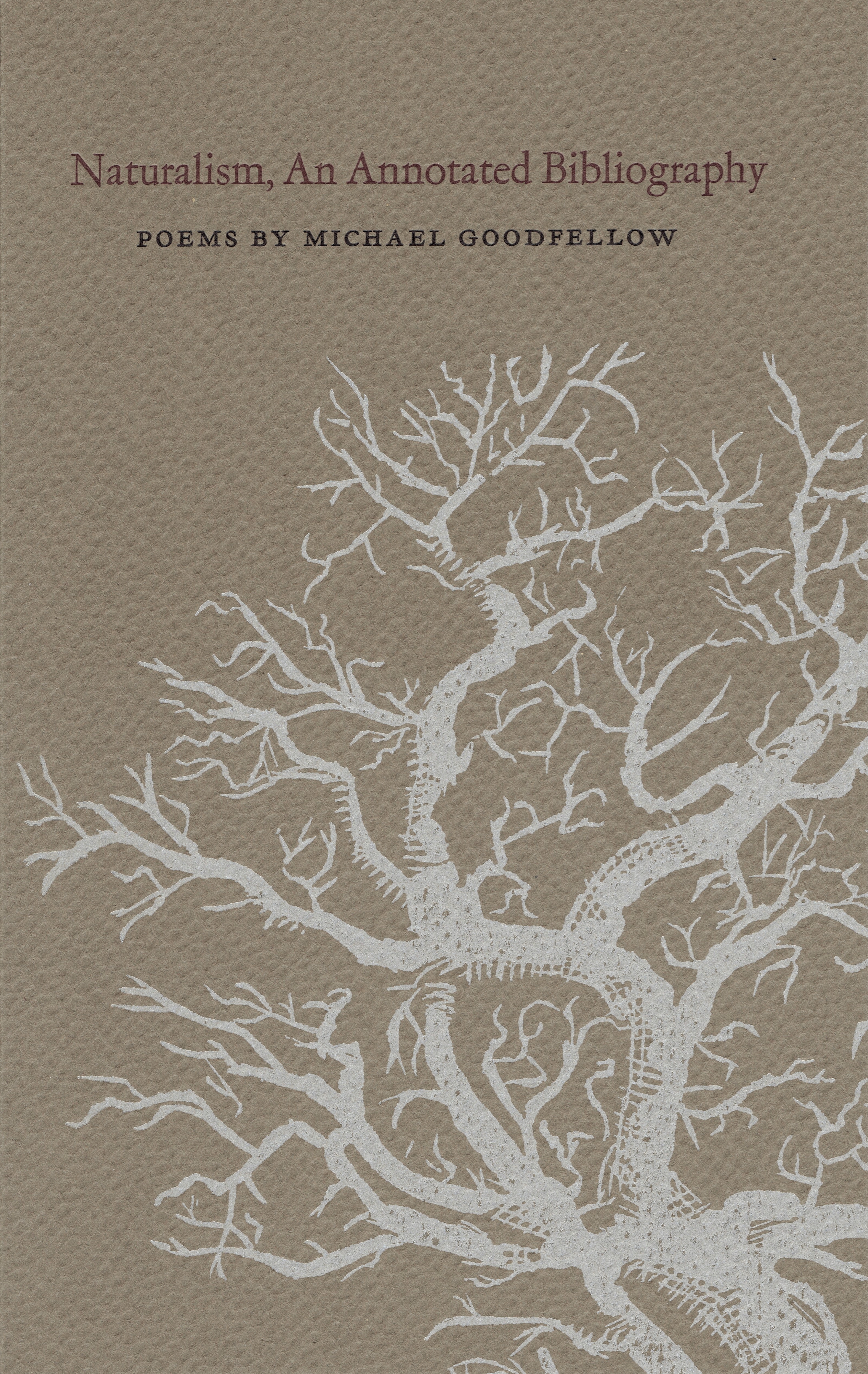 a book cover