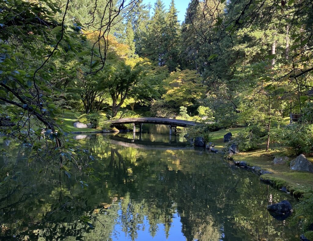 A wooden pedestrian bridge over a pond in a garden