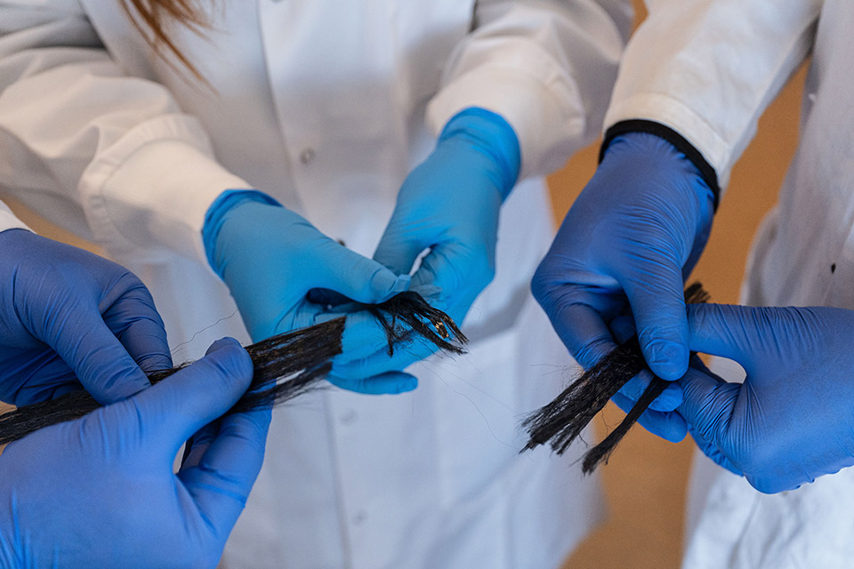 Blue medical gloves of the team holding carbon fibres.