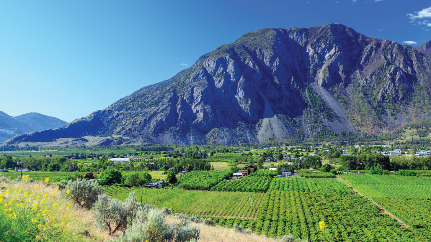 A mountain towers over a valley full of farmland