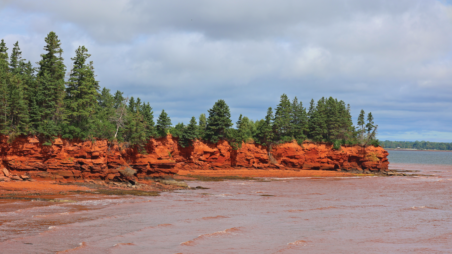 Red bluffs on the ocean topped with trees 