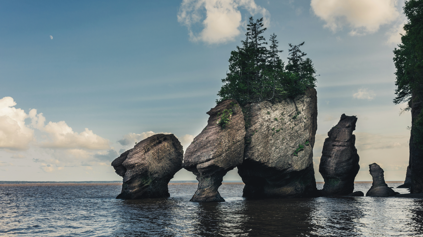 A series of rock formations jut from the water next to a forested cliff