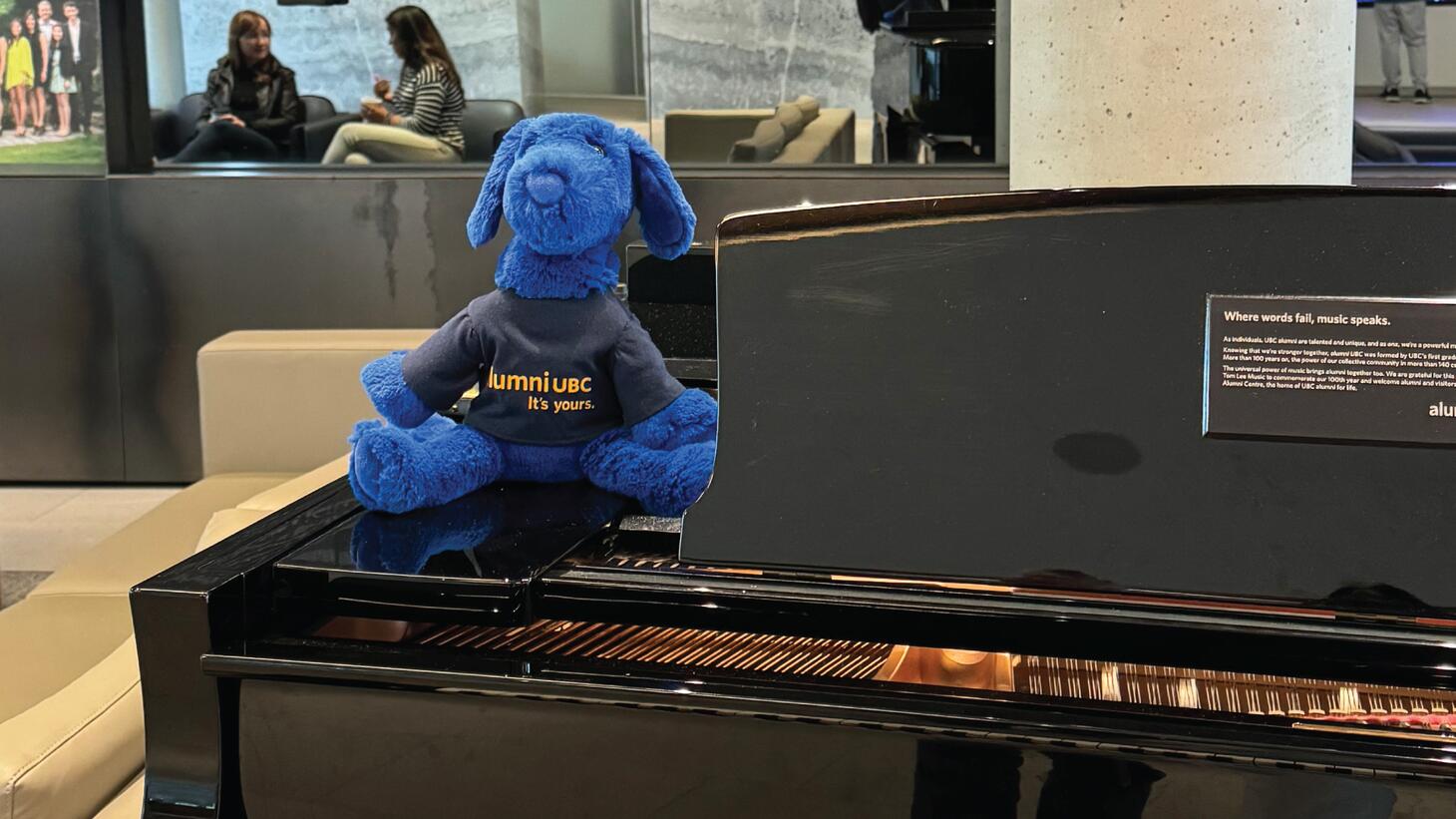 Blue, a small stuffed dog in an aulmni UBC shirt, sitting on a piano