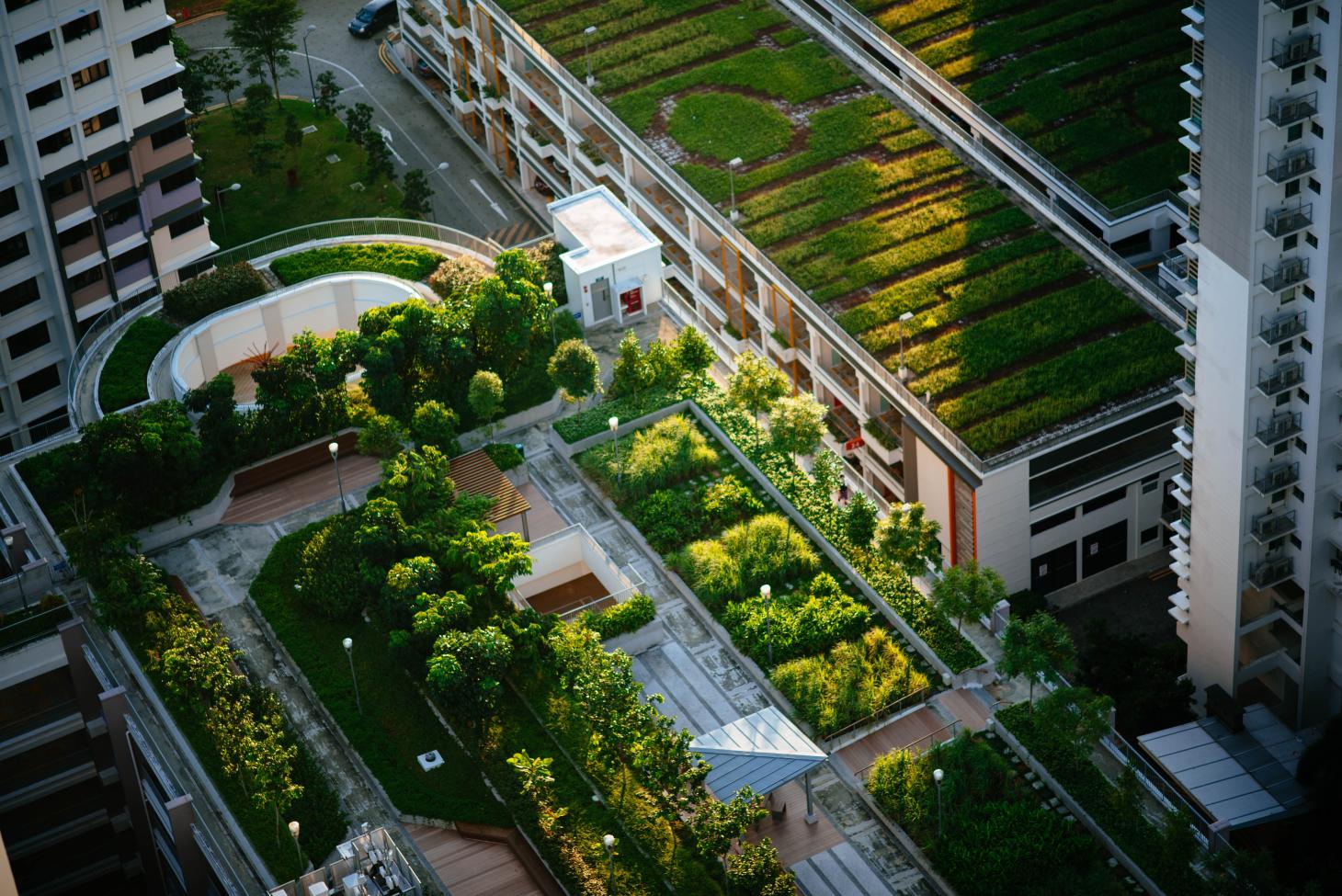 Aerial view of rooftop gardens on buildings 