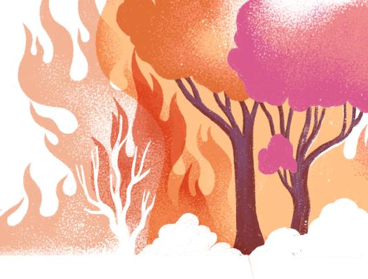 A drawing of burning trees and fire.
