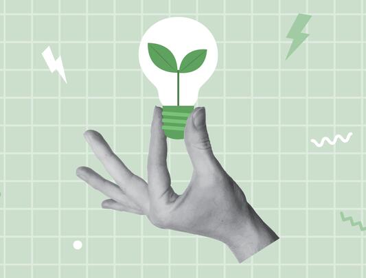 Illustration of hand holding lightbulb with plant growing inside