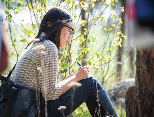 A person writes on a notebook while sitting amongst trees