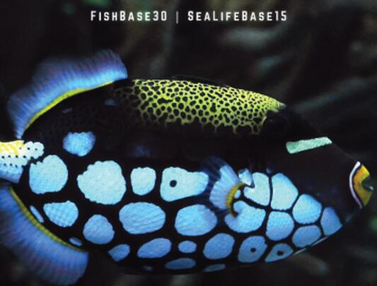 Fishbase30 | Sealifebase15