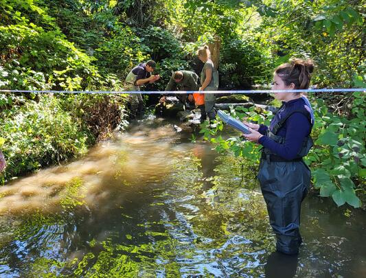 Five people stand in river 