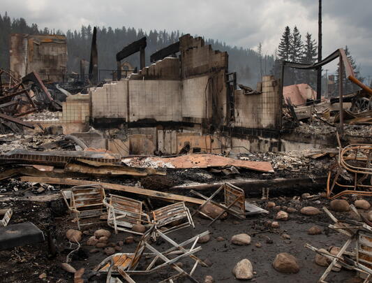 Burnt remnants of house and landscape destroyed by wildfire