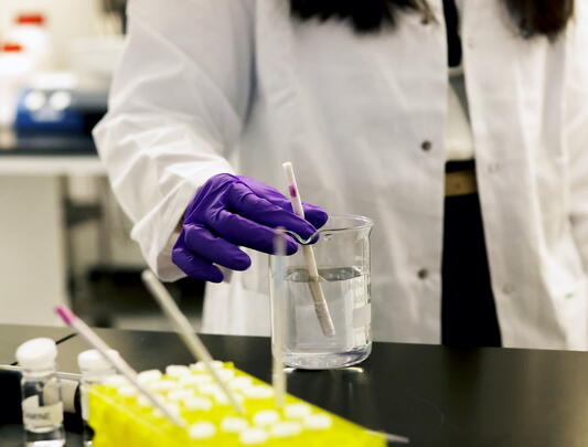 Researcher holding stir stick submerged in some liquid in a beaker