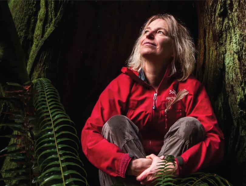 Photo of Prof. Suzanne Simard in a forest.