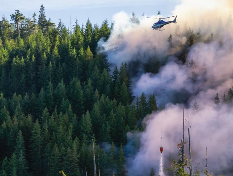 Helicopter flies over grey smoke arising from pine forest