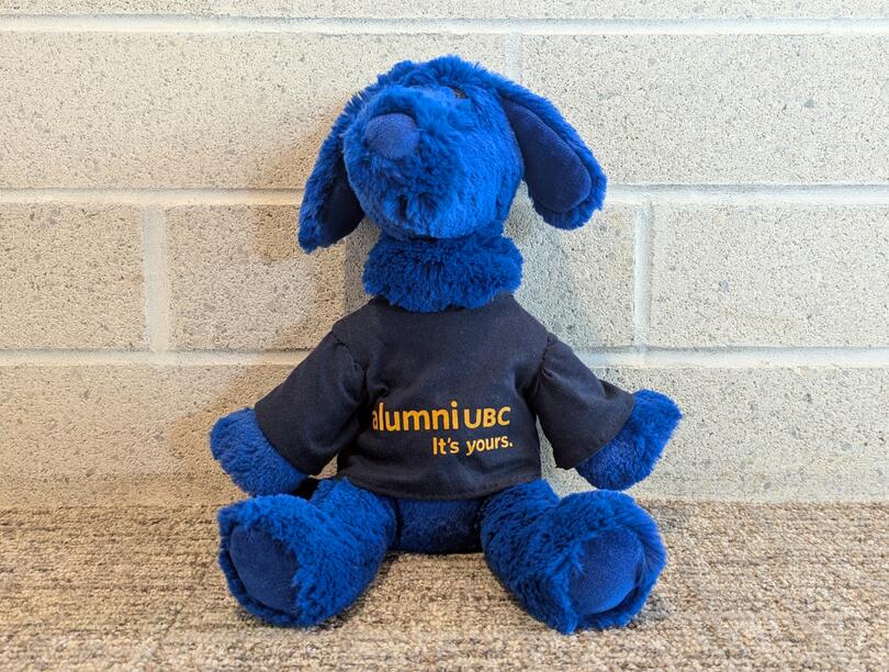 A blue stuffed animal — in the shape of a dog, wearing an alumni UBC navy t-shirt, against a beige background