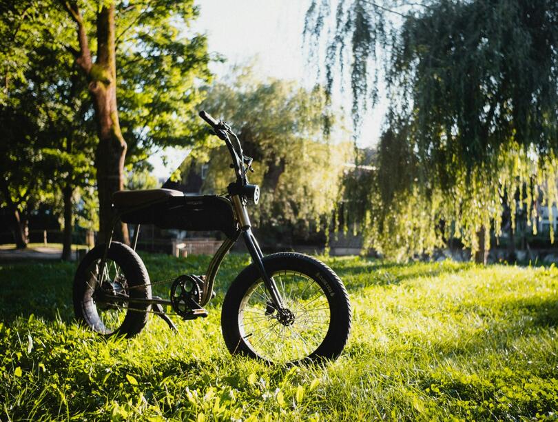 E-bike parked on lawn in front of trees