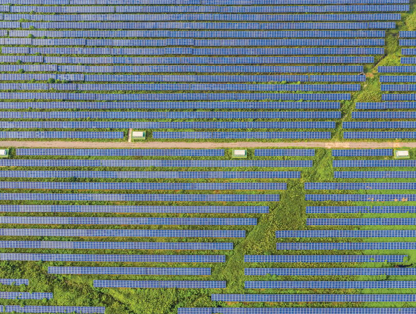 Aerial shot of a densely-packed field of solar panels