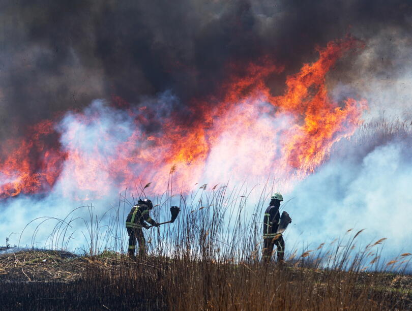 Three firefighters in front of a wildfire