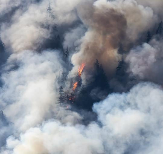 Aerial view of smoke rising from wildfire in a forest