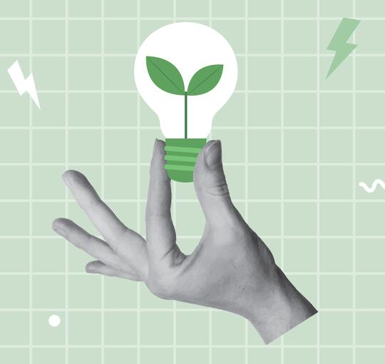 Illustration of hand holding lightbulb with plant growing inside