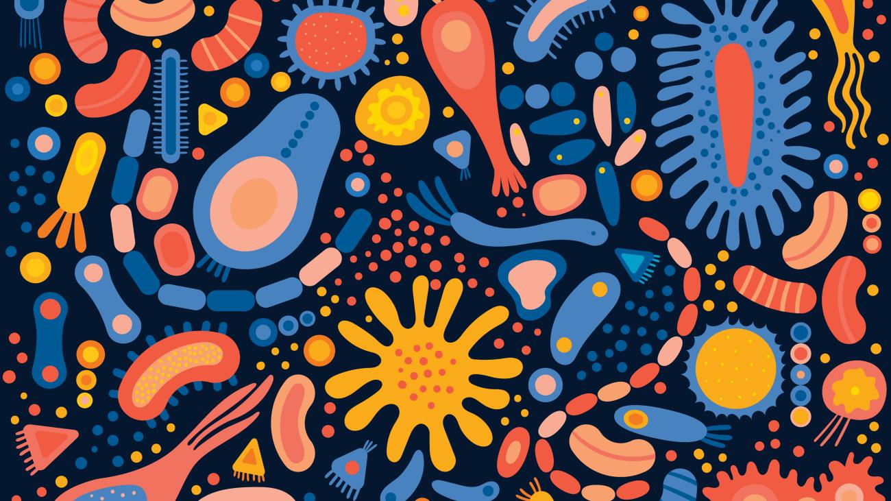 A colourful drawing of microbes.