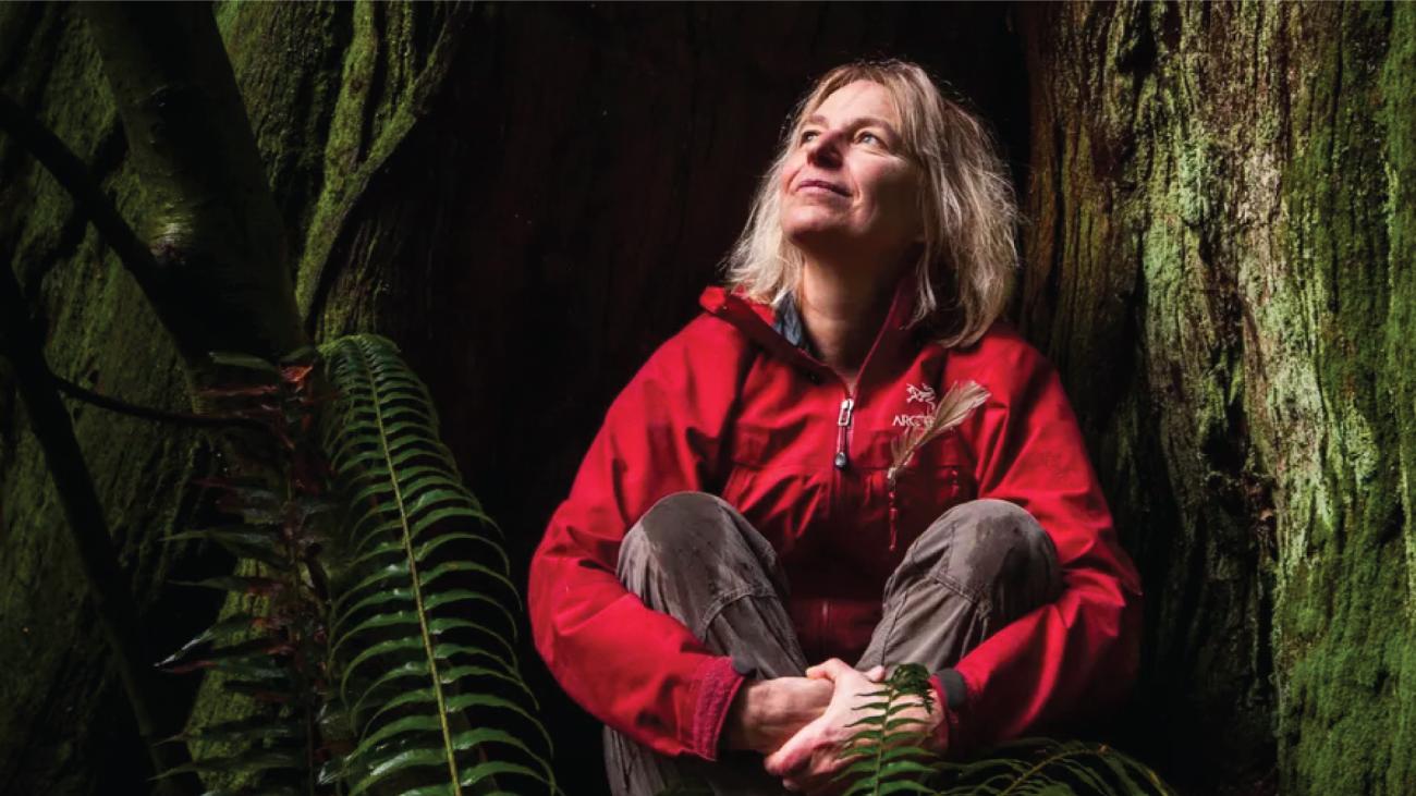 Photo of Prof. Suzanne Simard in a forest.