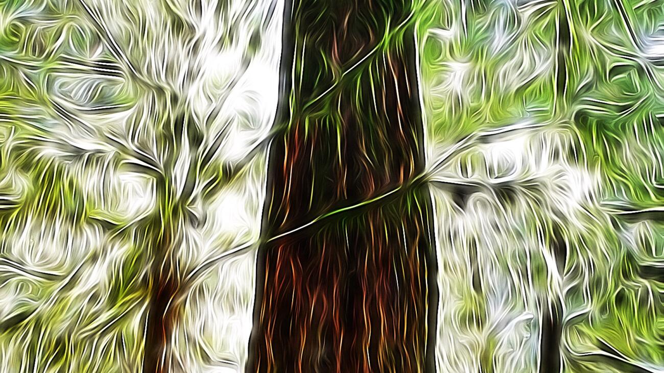 an illustration of a tree trunk