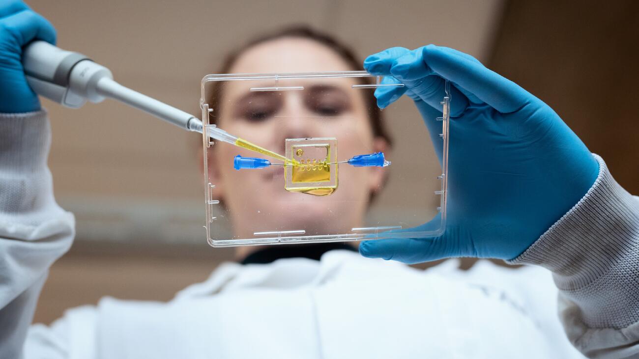 Tanya Bennet, a PhD student in Biomedical Engineering, uses a pipet while working on the development of an in vitro model of the injured spinal cord