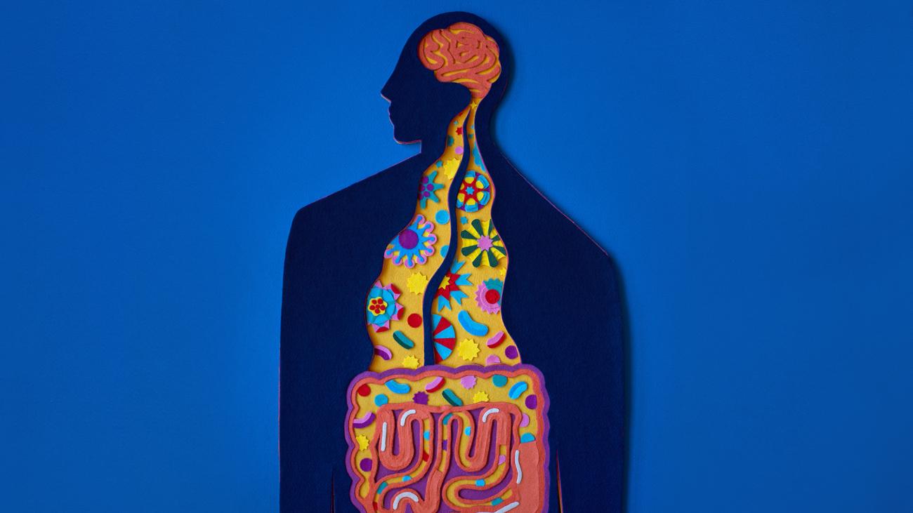 Illustration of the upper half of the human body, with colourful diagrams showing brain and the stomach
