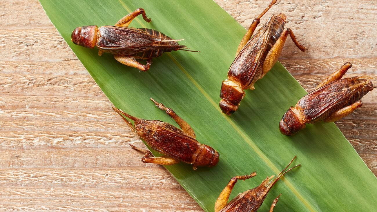 Cooked crickets laid out on a green leaf on a light brown wooden surface.