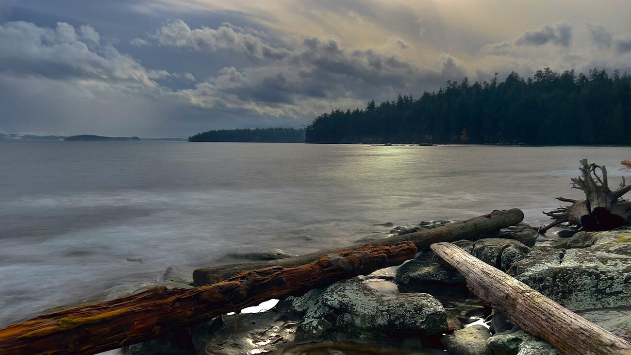 Logs on a rocky beach with water in the backdrop