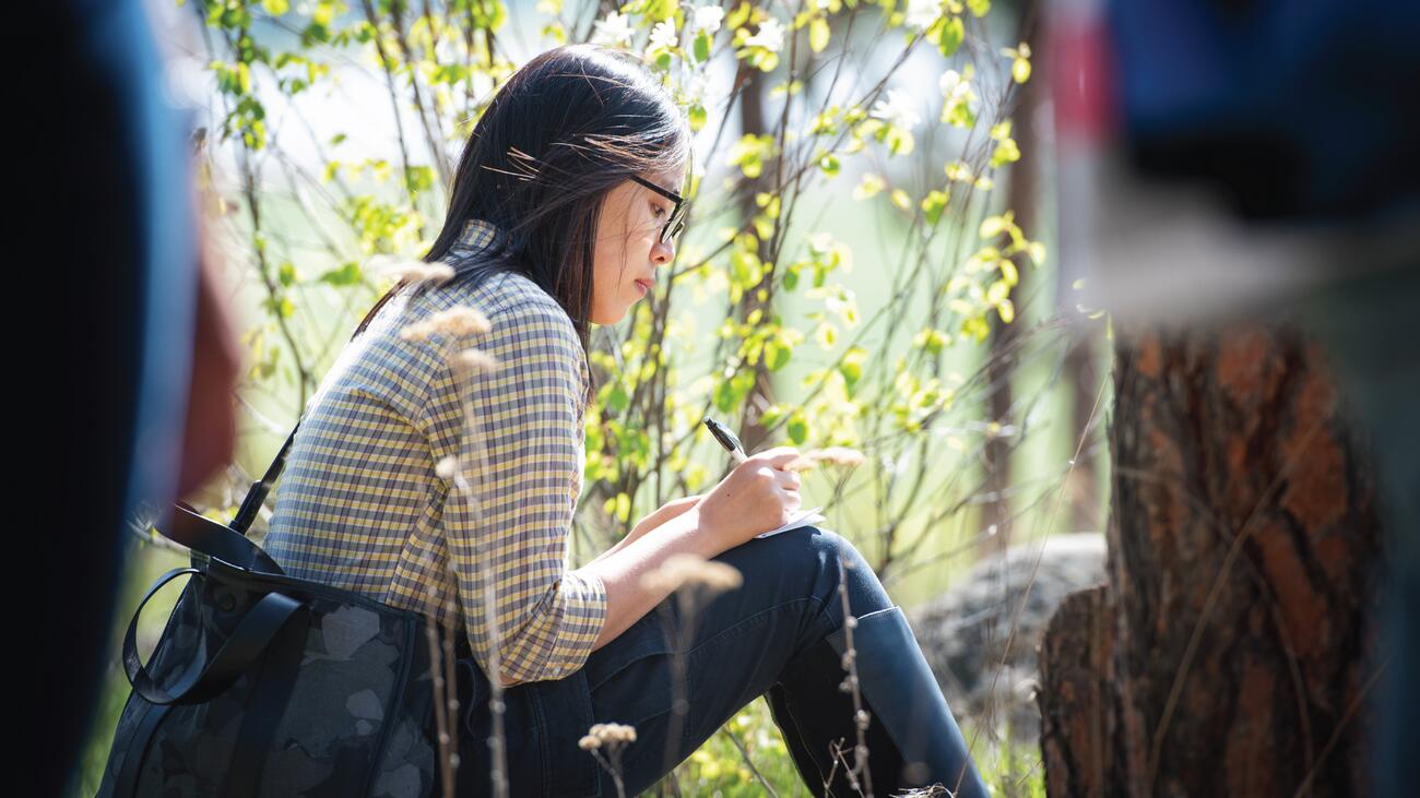 A person writes on a notebook while sitting amongst trees