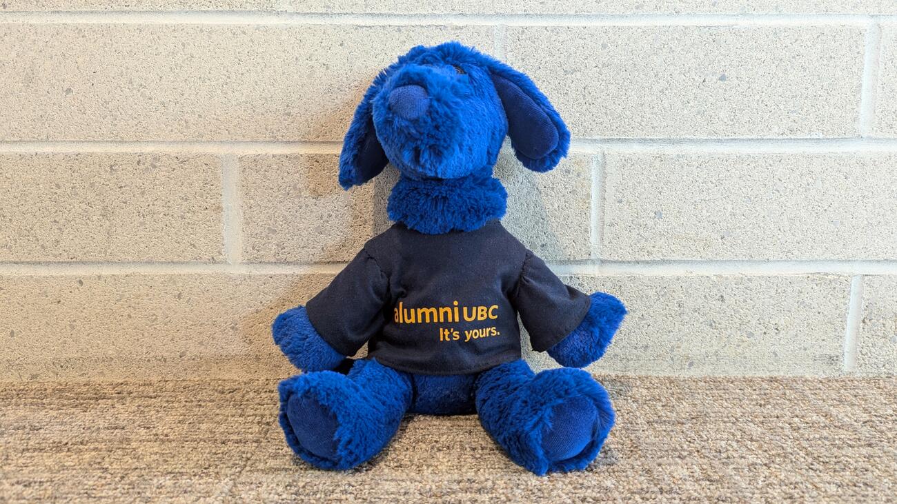 A blue stuffed animal — in the shape of a dog, wearing an alumni UBC navy t-shirt, against a beige background