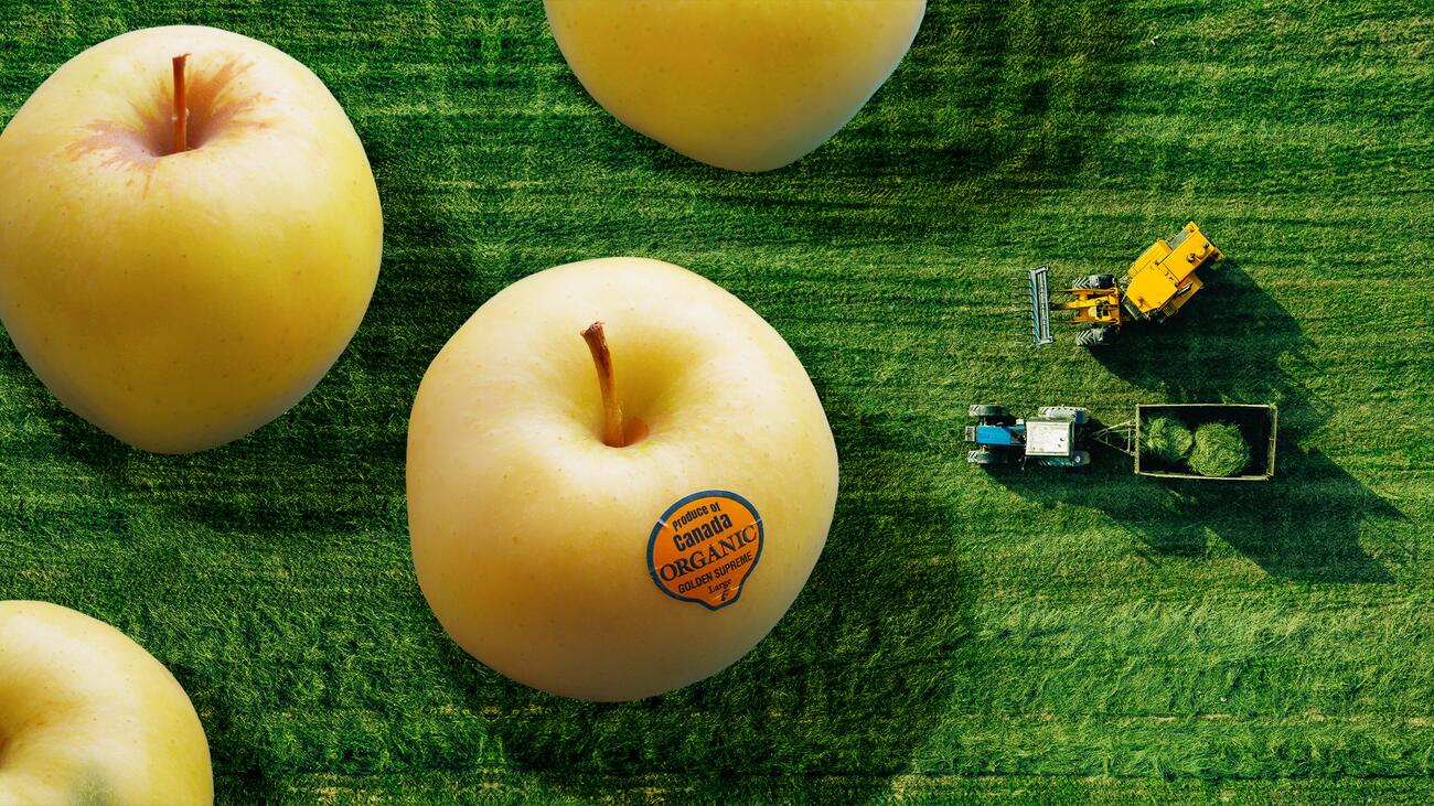 Overhead shot of a field with tractors, with oversized (not-to-scale) apples on the left