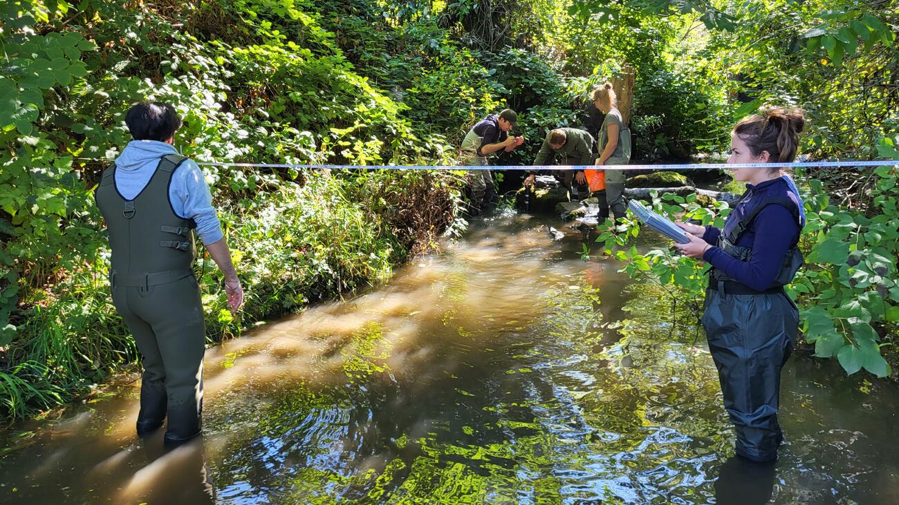 Five people stand in river 