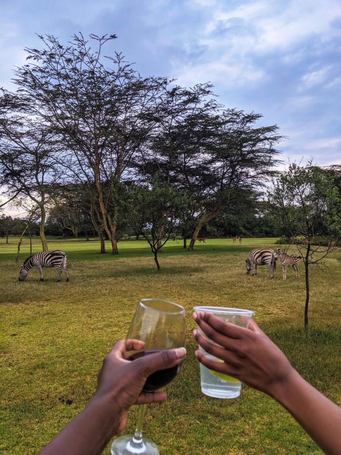 Two outstretched arms, each holding glasses, in a cheers motion, with trees and zebras in the distance