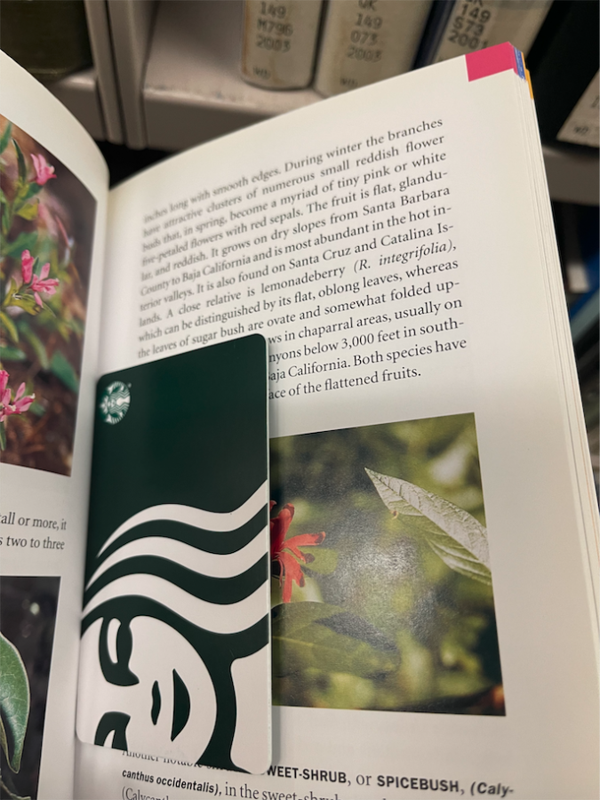 Starbucks gift card lying inside an opened textbook