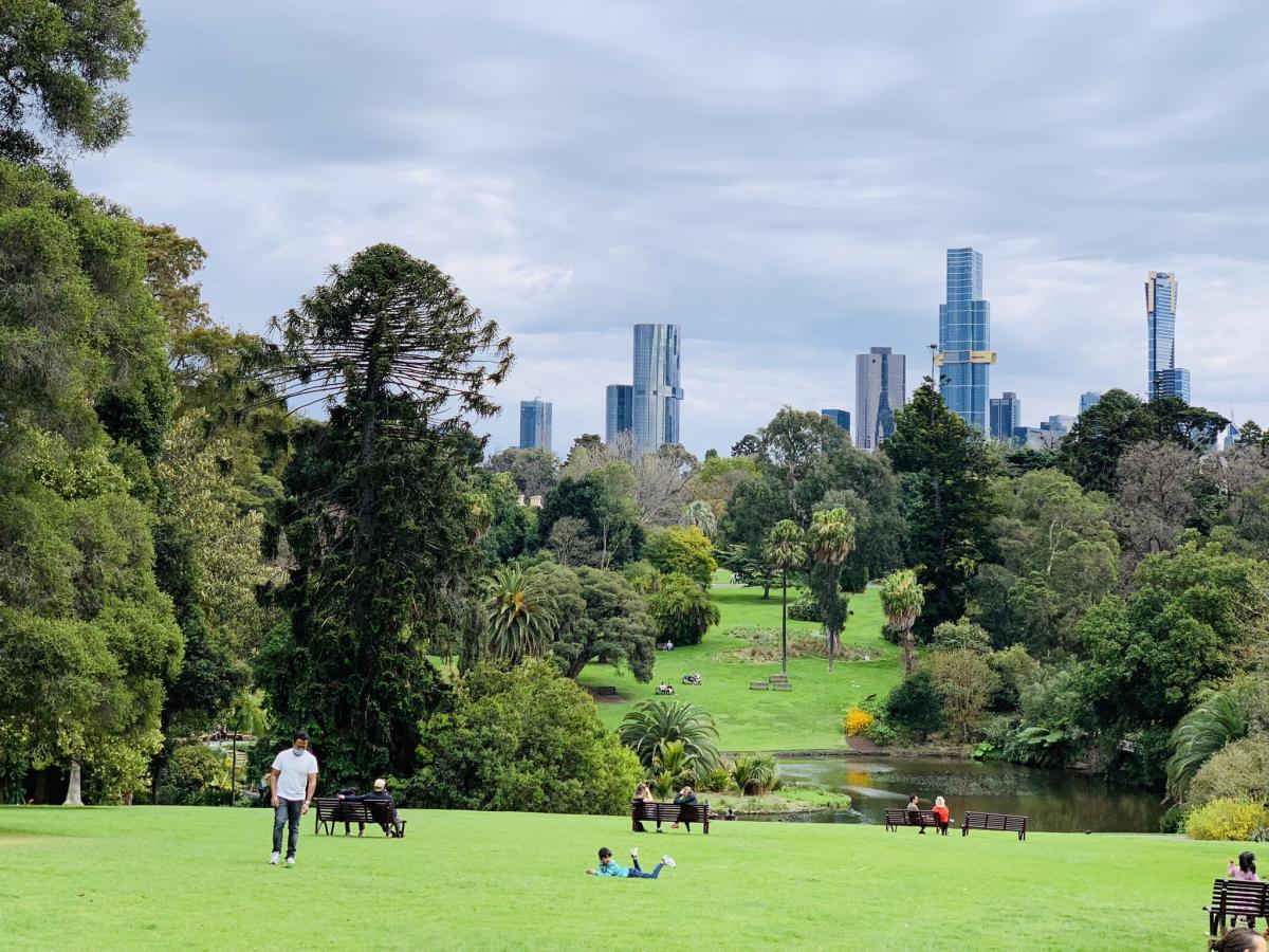 Wide-angle shot of a park with trees and skyscrapers in the background
