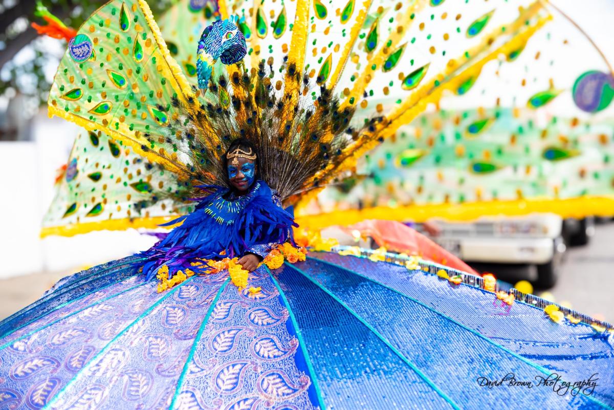Child Carnival masquerader dressed in an outfit reminiscent of a peacock