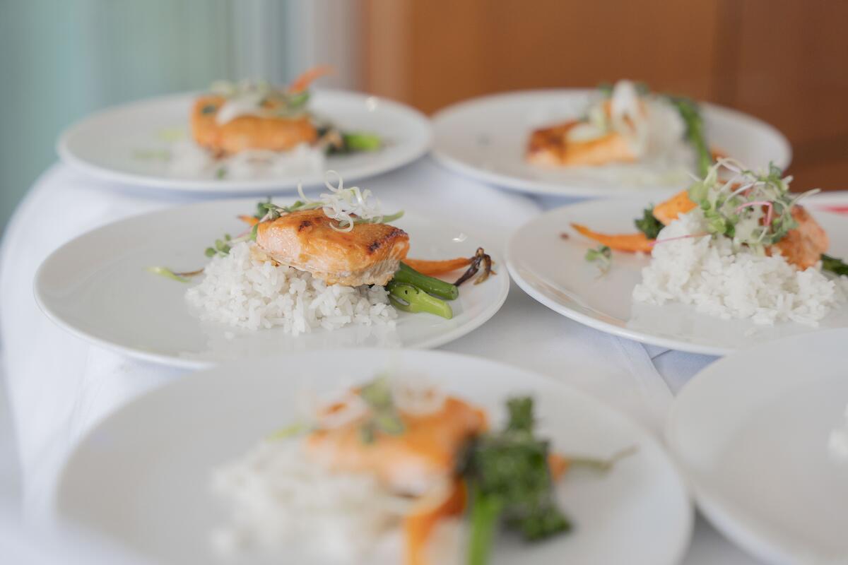 Salmon and rice elegantly arranged on white plates