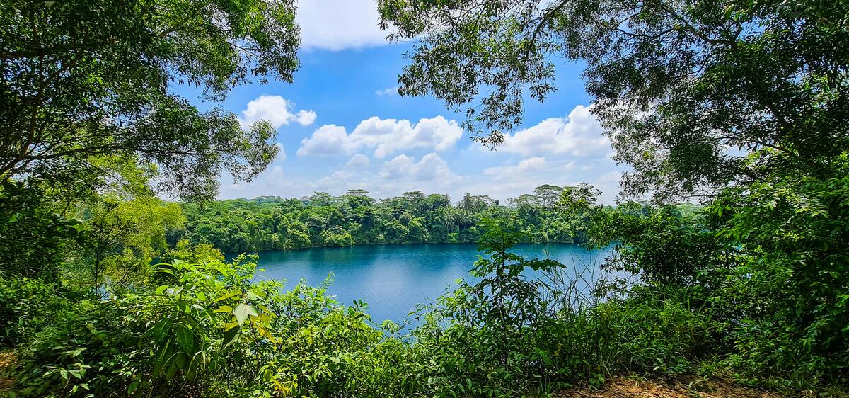 A wide-angle shot of Pulau Ubin, showing water surrounded by lush trees