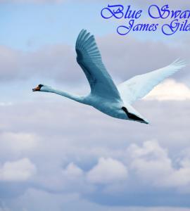 an image of a swan flying above the clouds