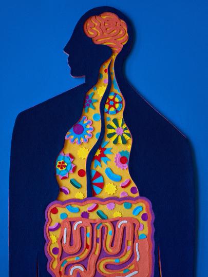 Illustration of the upper half of the human body, with colourful diagrams showing brain and the stomach