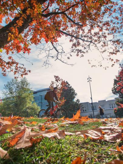 Fall on Vancouver campus