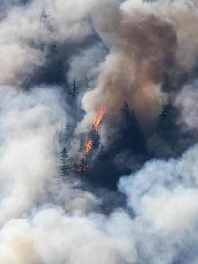 Aerial view of smoke rising from wildfire in a forest